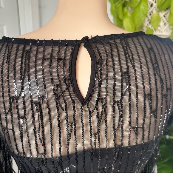 LULU’S SHEER FASCINATION SHEER MESH SEQUIN FRINGE MAXI DRESS - Picture 14 of 16